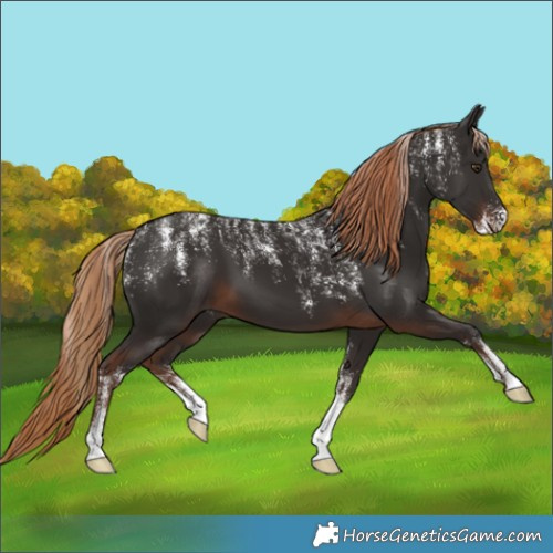 Horse Color:Powder White Liver Chestnut