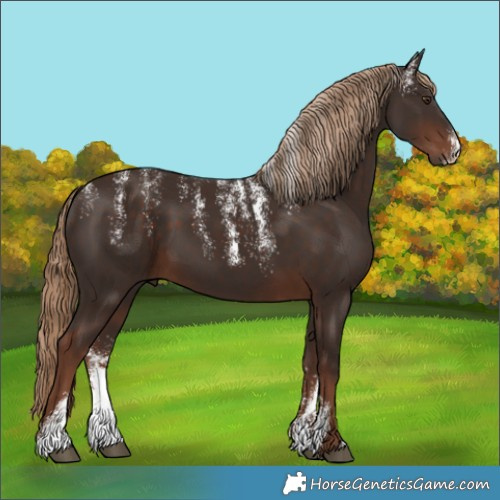 Horse Color:Powder White Liver Chestnut