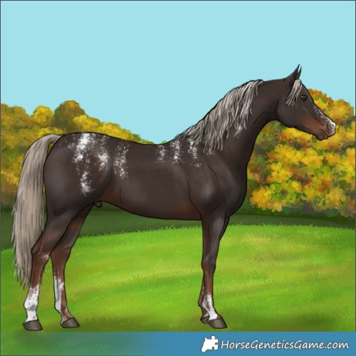 Horse Color:Powder White Liver Chestnut