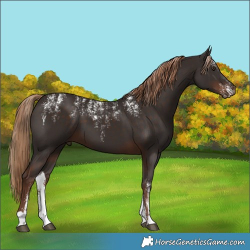Horse Color:Powder White Liver Chestnut 