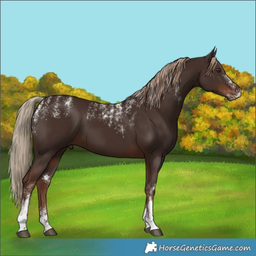 Horse Color:Powder White Liver Chestnut 