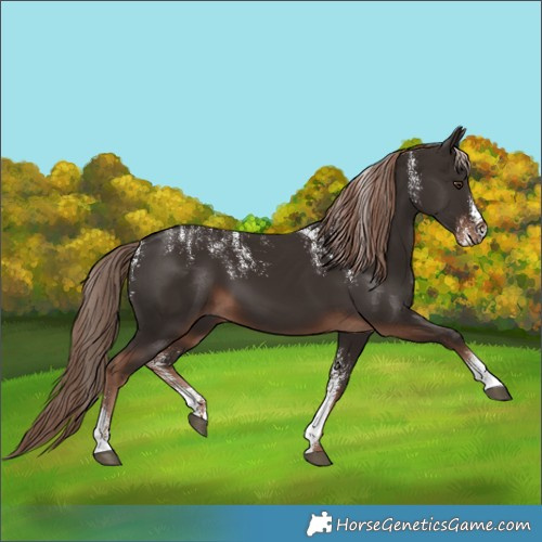 Horse Color:Powder White Liver Chestnut 