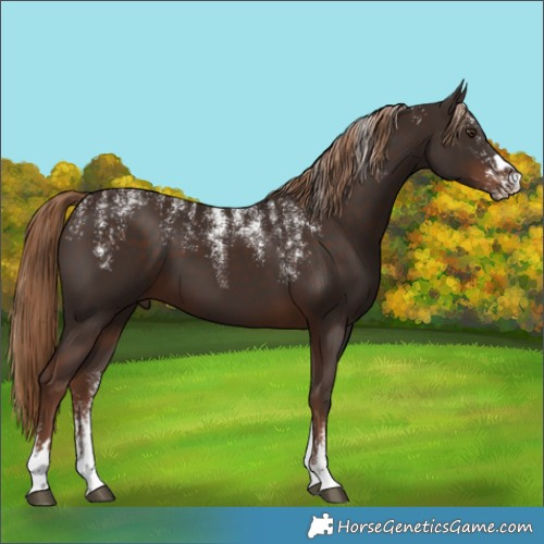 Horse Color:Powder White Liver Chestnut 