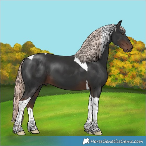 Horse Color:Liver Chestnut Mushroom Tobiano 