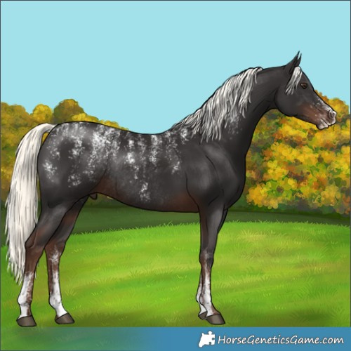 Horse Color:Powder White Liver Chestnut Mushroom Rabicano 