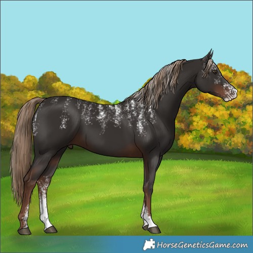 Horse Color:Powder White Liver Chestnut