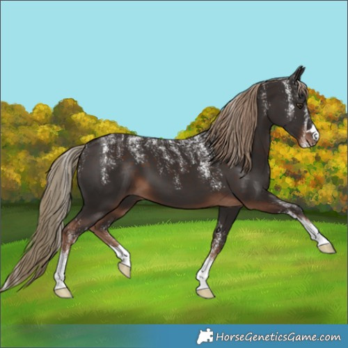 Horse Color:Powder White Liver Chestnut 