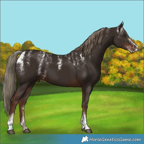 Horse Color:Powder White Liver Chestnut