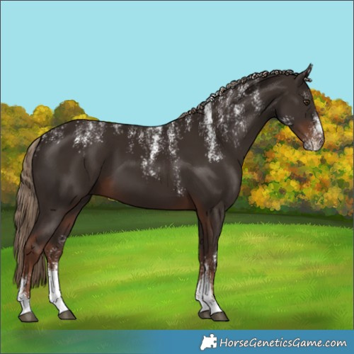 Horse Color:Powder White Liver Chestnut 