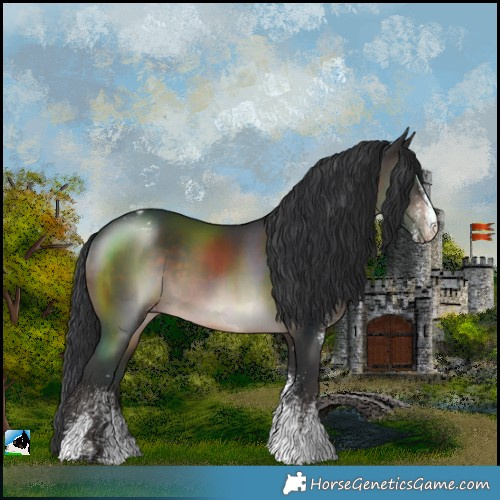 Horse Color:White Spotted Brown Varnish 