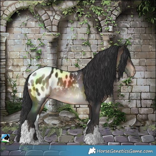 Horse Color:White Spotted Brown Blanket 