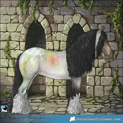 Horse Color:White Spotted Brown Roan Varnish