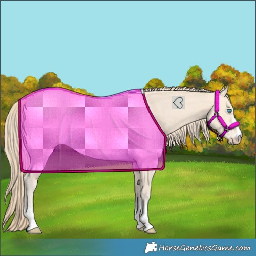 Horse Color:Perlino