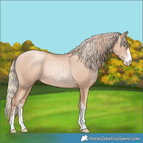 Horse Color:Gold Champagne Pearl Rabicano and Gold Champagne Pearl Varnish Rabicano