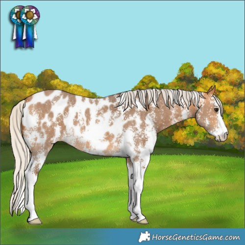 Horse Color:Silver Buckskin Sabino Blanket 