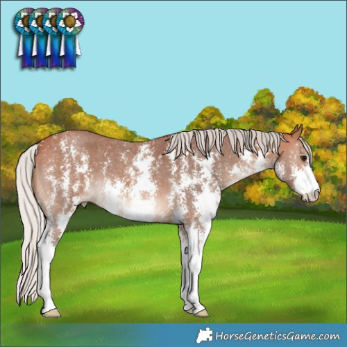 Horse Color:Silver Bay Sabino