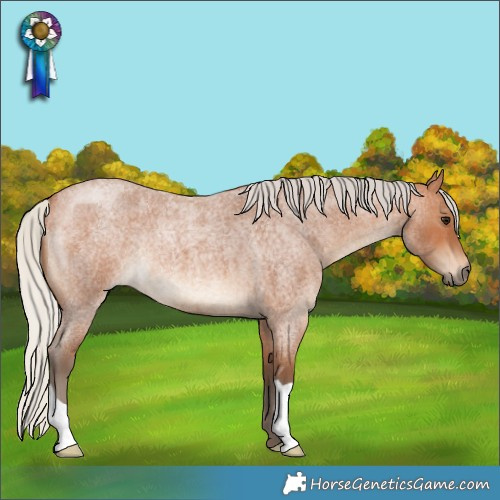 Horse Color:Silver Bay Roan