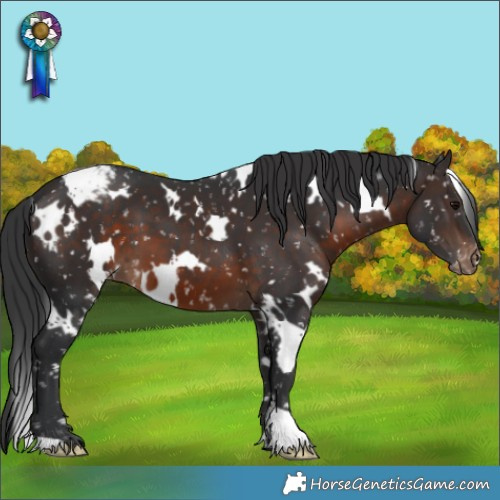 Horse Color:White Spotted Brown Snowflake Varnish