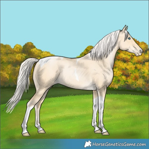 Horse Color:Silver Buckskin Pearl Dun Tobiano