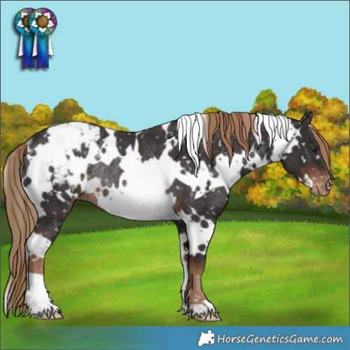 Horse Color:White Spotted Liver Chestnut Snowflake VarnishRabicano