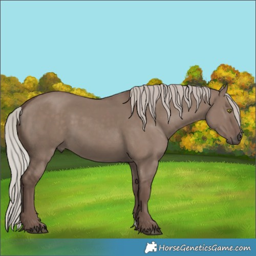 Horse Color:Silver Grullo