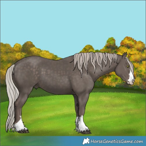 Horse Color:Silver Black 