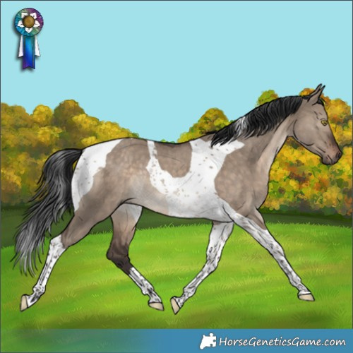 Horse Color:Brown Dun Tobiano Rabicano 