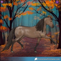 Horse Color:Liver Red Dun Rabicano 