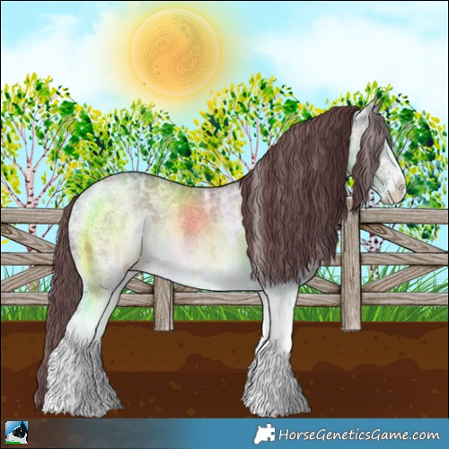 Horse Color:Chocolate Brown Chinchilla Ice Sabino Rabicano 