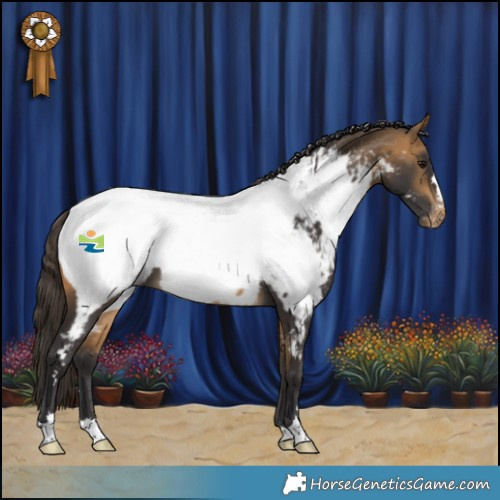 Horse Color:Buckskin Near Fewspot 