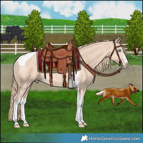 Horse Color:Perlino Tobiano 