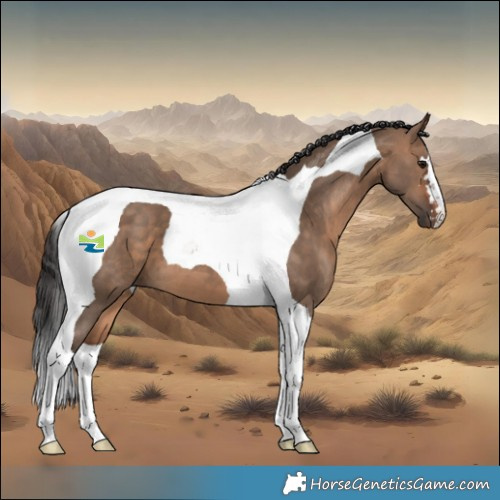 Horse Color:Bay Dun Tobiano 