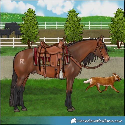 Horse Color:Bay Skewed LP Spotted