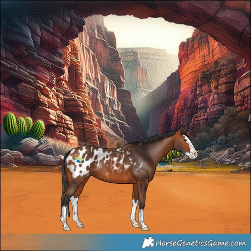 Horse Color:Bay Splash Blanket