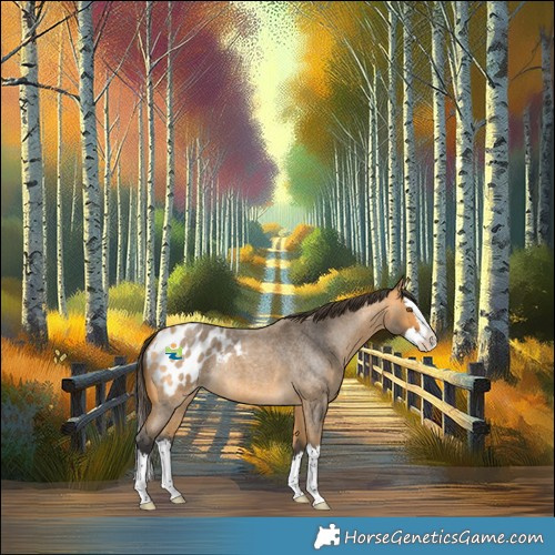 Horse Color:Buckskin Roan Splash Blanket 