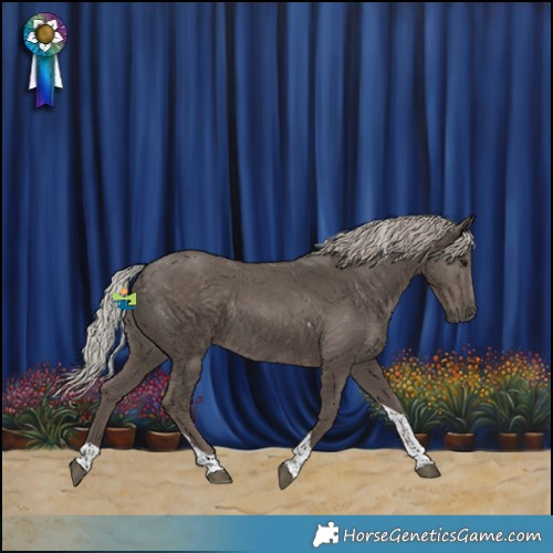 Horse Color:Silver Black Tobiano Rabicano
