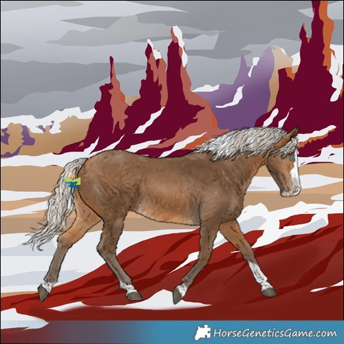 Horse Color:Silver Buckskin Splash Tobiano