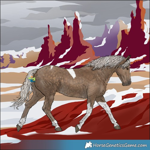 Horse Color:Silver Smoky Black Tobiano 