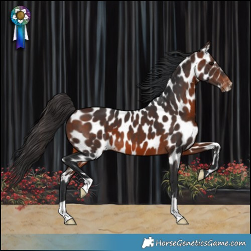 Horse Color:Brown Near Leopard 