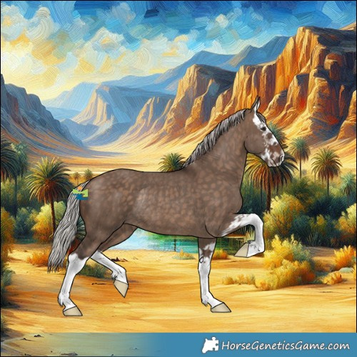 Horse Color:Silver Brown Dun Sabino Splash Rabicano