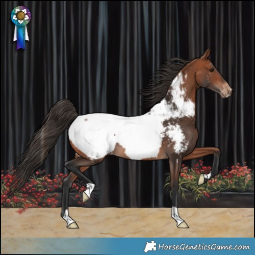 Horse Color:Bay Snowcap 