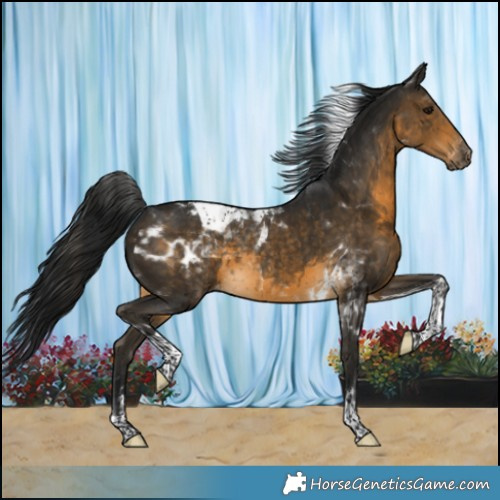 Horse Color:Gray Buckskin Tobiano Varnish