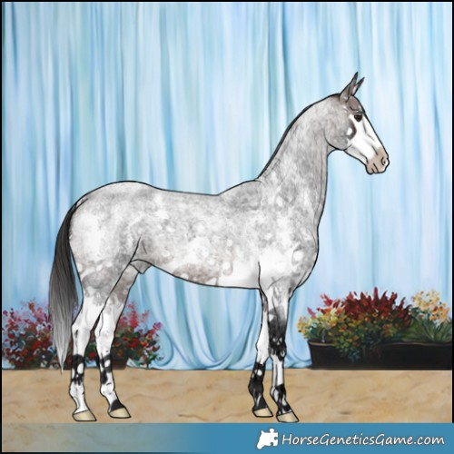 Horse Color:Brown Ice Roan Sabino Splash 