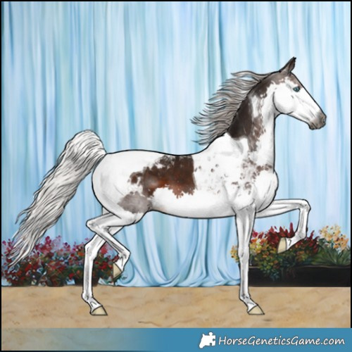 Horse Color:Gray Silver Brown Splash Tobiano Varnish 