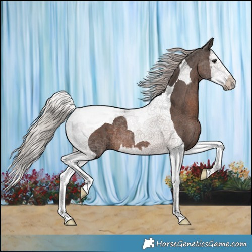 Horse Color:Silver Black Splash Tobiano 