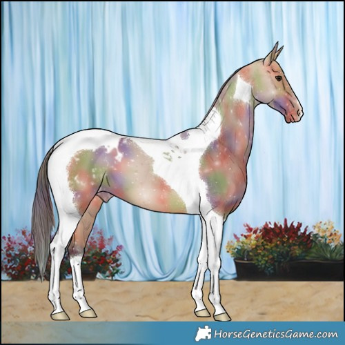 Horse Color:Nacre Bay Dun Tobiano Blanket