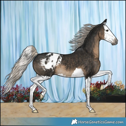 Horse Color:Gray Silver Smoky Black Splash Blanket 