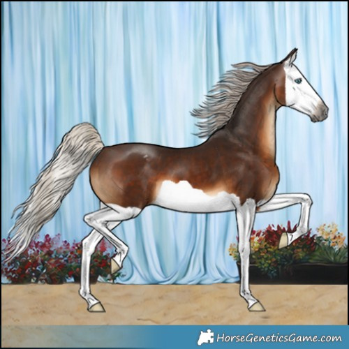 Horse Color:Gray Silver Bay Splash Varnish 