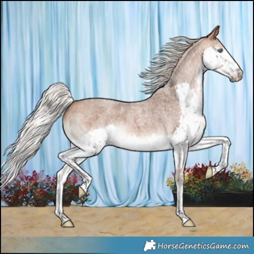 Horse Color:Silver Brown Roan Splash 