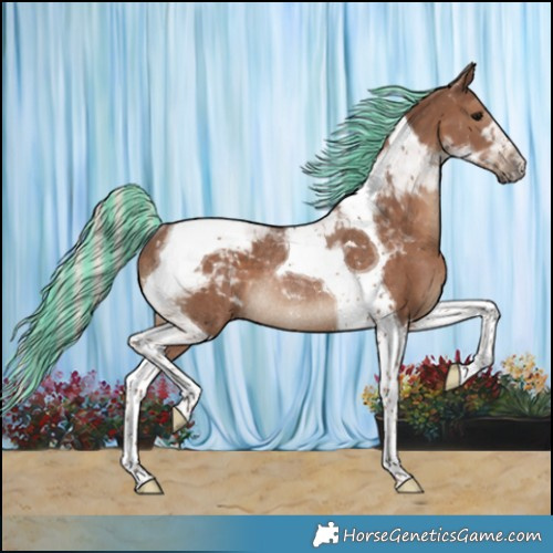 Horse Color:Painted Silver Black Tobiano Rabicano